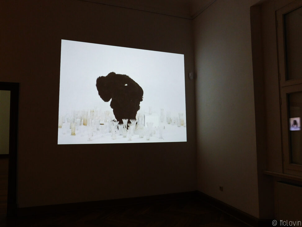 La performance filmée Ursu / Bear d'Anca Munteanu Rimnic (2013)