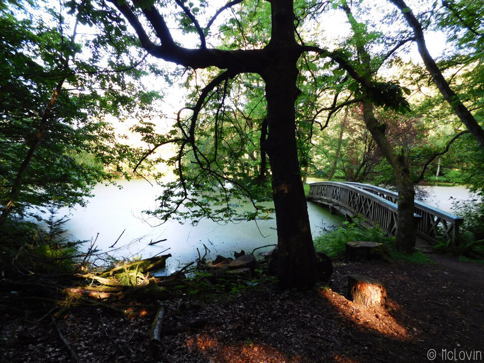 Etang et pont dans le jardin du Château d'Agathenburg