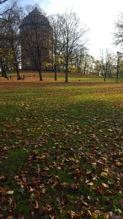 Les feuilles d'automne au parc de Schanze à Hambourg en Allemagne