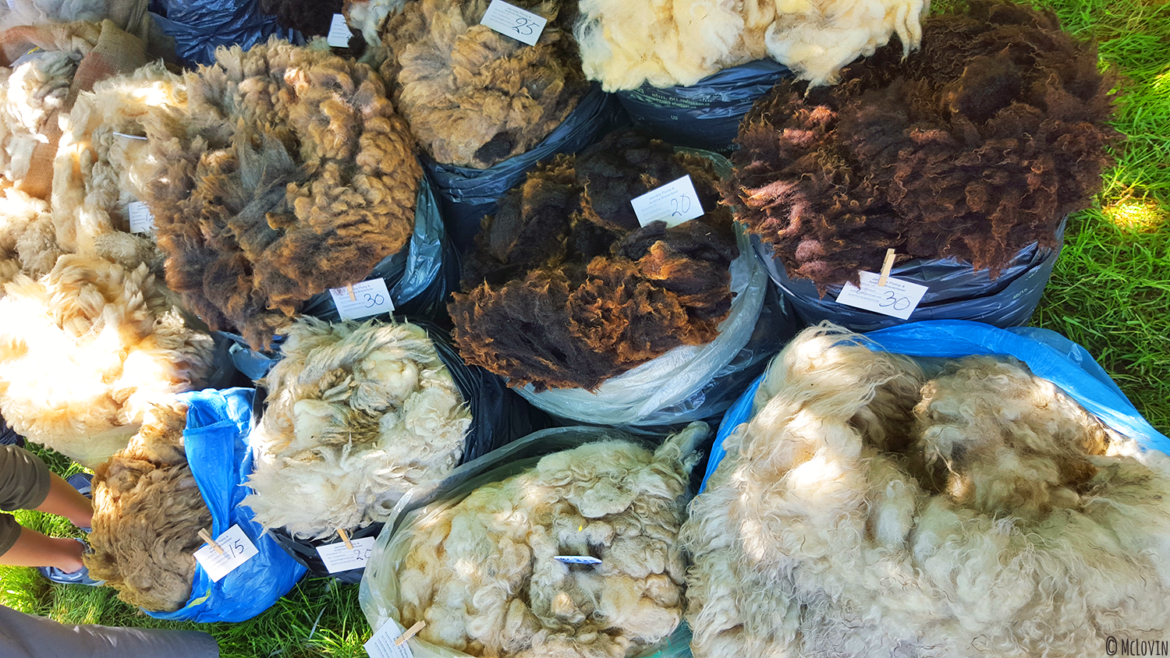 Toisons de moutons au festival "Des Fibres aux Fils" en Bretagne dans les Monts d'Arrée