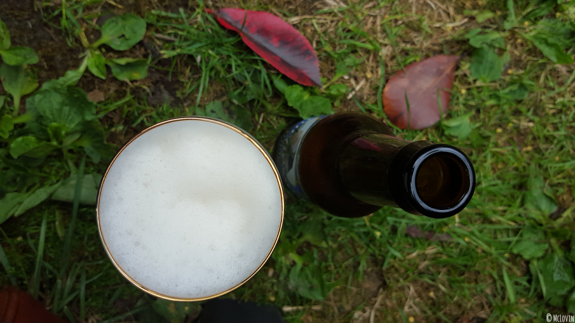 Duchesse Anne Triple dans le jardin du Nulle Bar Ailleurs Pâquerettes devant l'abbaye Saint-Magloire de Léhon lors de l'Instameet Dinan Léhon 2016