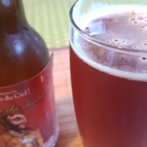 Verre et bouteille de bière IPA Corne du Diable de la brasserie canadienne et québécoise Dieu du Ciel !