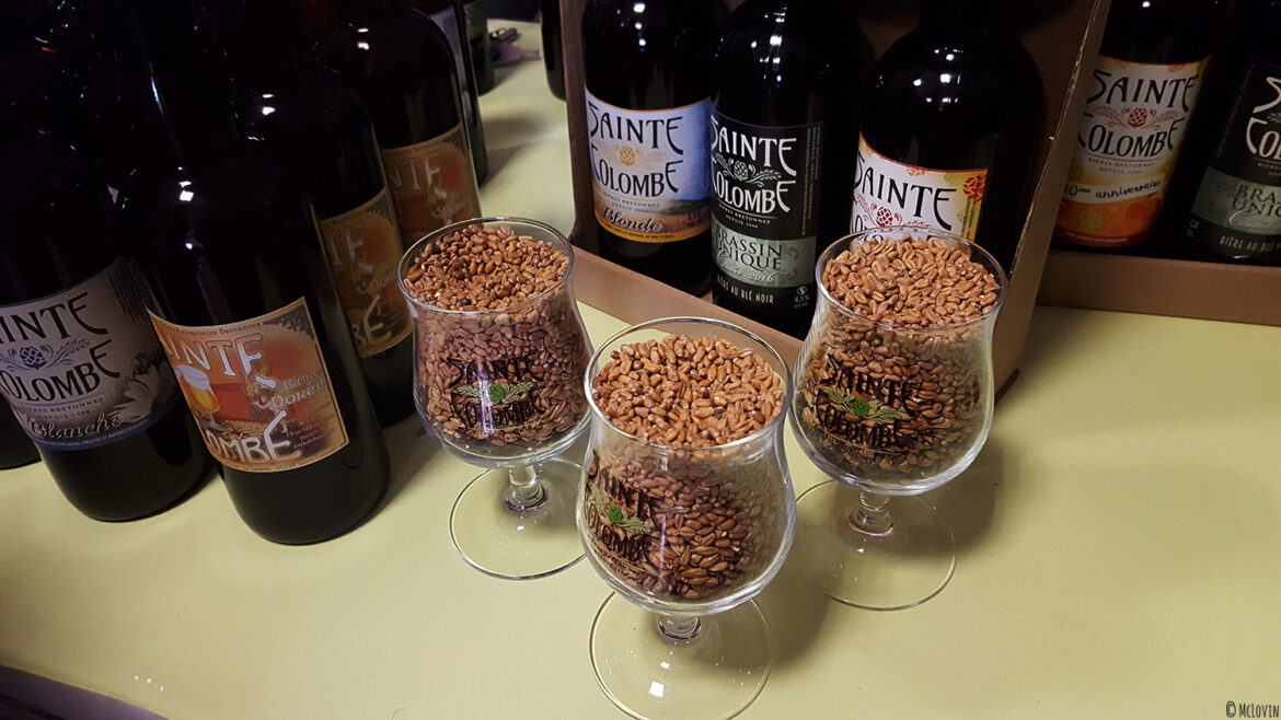 Les bières de la brasserie Sainte-Colombe de Saint-Colombe (35) à La P'tite Chope, fête des bières locales à Hédé-Bazouges en octobre 2016
