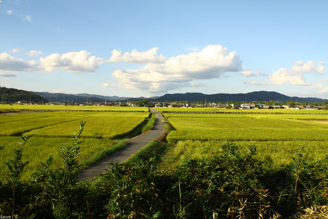 La plaine de Kibi au Japon lors de ma balade en vélo