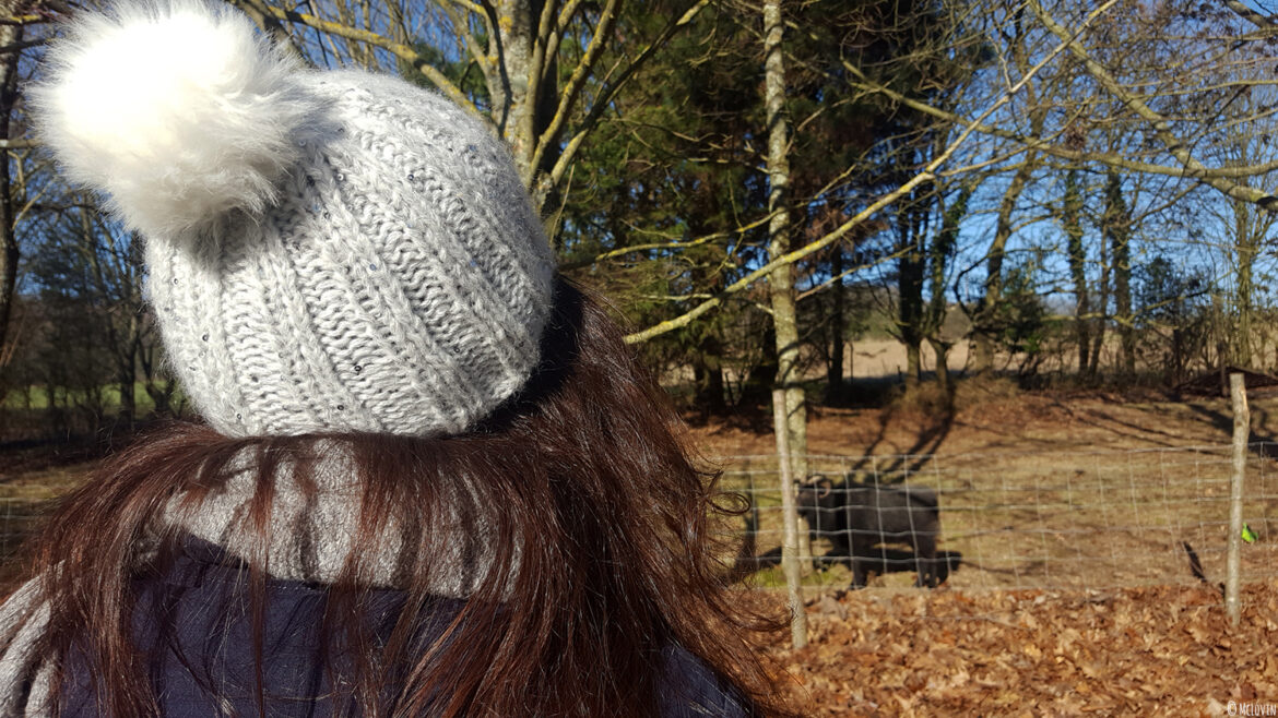 Mon bonnet Chic de Phildar tricoté et moi devant l'enclos des moutons dans mon jardin.