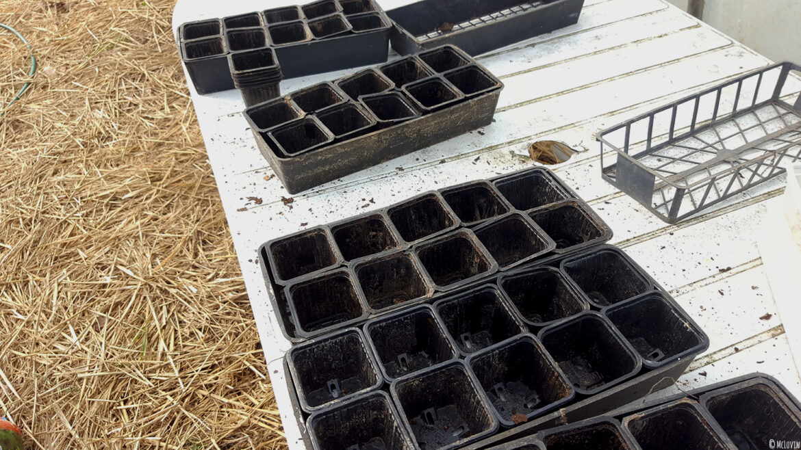 Les godets plastiques dans la serre près à accueillir les graines et le mélange terre / terreau.