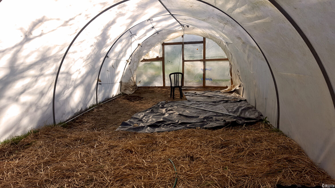 La serre vide en attendant que les plantes soient assez fortes pour être mises en terre !