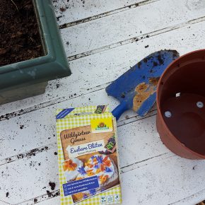 Le paquet de graines de fleurs comestibles Neudorff et le matériel pour les semer / planter dans la jardinière de la serre.