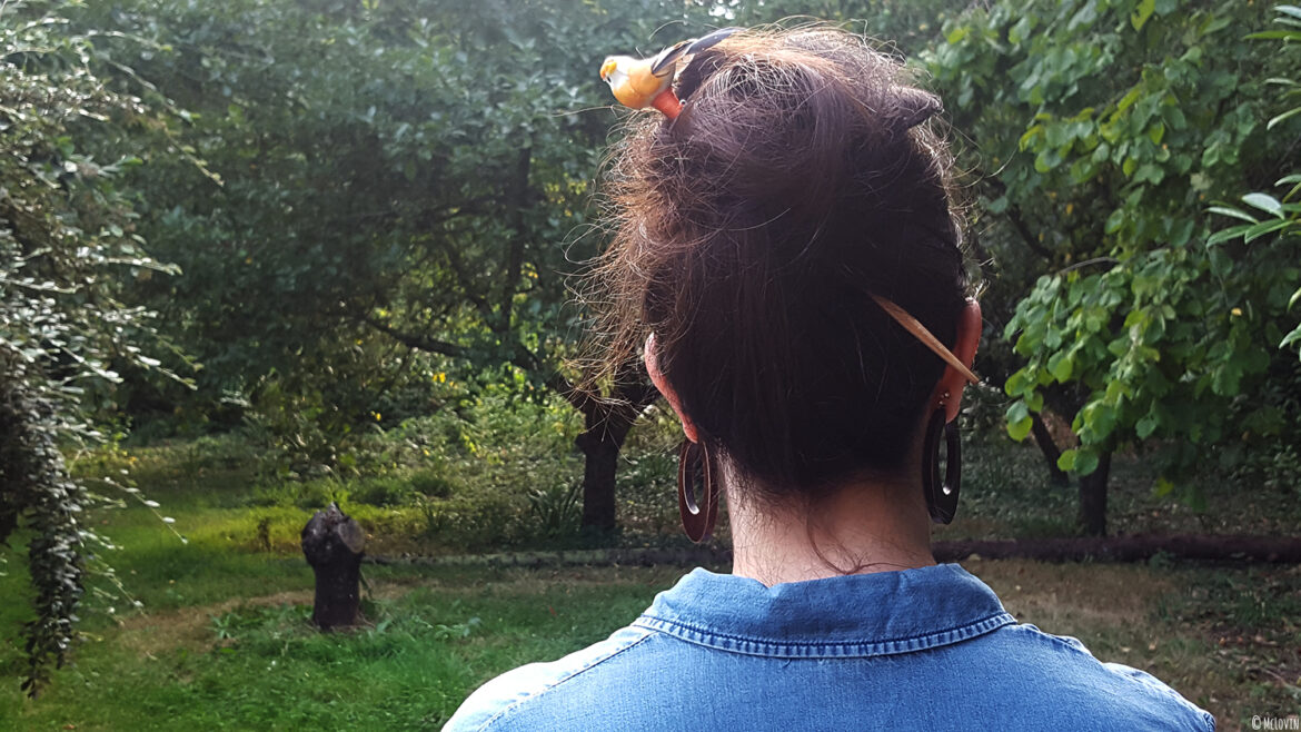 Le pique à cheveux oiseau fait maison DIY porté dans les cheveux de McLovin.