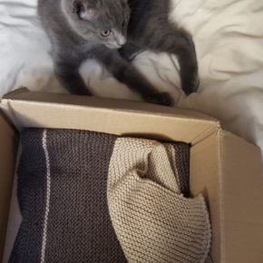 La couverture tricotée en point mousse beige et marron dans son petit carton à côté de mon chat gris chartreux.