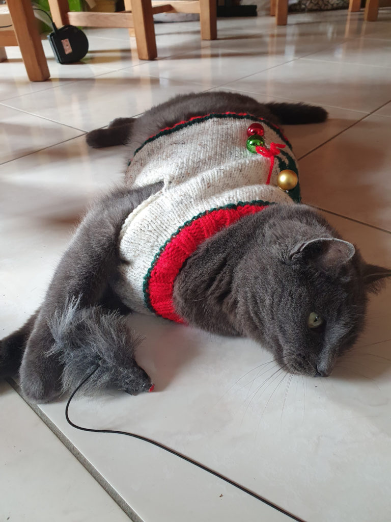 Un chat avec un gilet de Noël tricoté main en train de jouer avec une fausse souris.