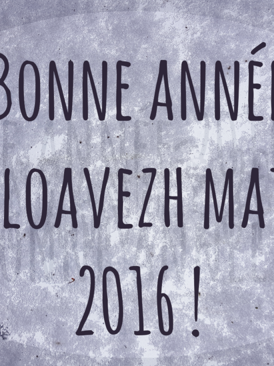 Bloavezh mat 2016 ! Bonne année 2016 !