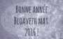 Bloavezh mat 2016 ! Bonne année 2016 !