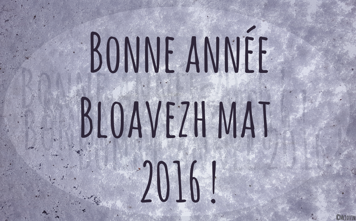 Bonne année 2016 ! Bloavezh mat 2016 !
