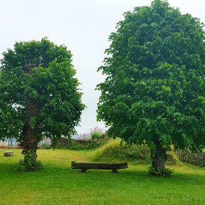Photo Instagram d'un banc entre deux arbres dans les ruines du Château de Léhon pour l'Instameet Dinan Léhon 2016
