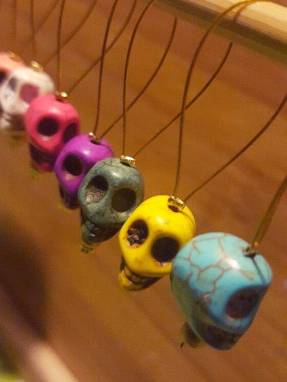 Les anneaux marqueurs &lsquo;Trícot de Muertos&rsquo;