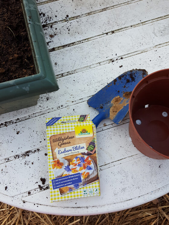 Les semis de printemps