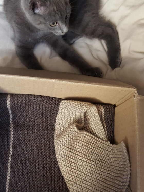 Tricot – La couverture pour chat au point mousse