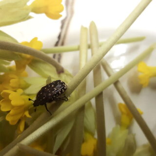 On tricote quoi cet été ?