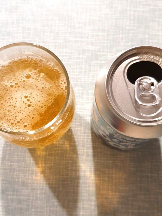 Bière – Dry January, le crash test