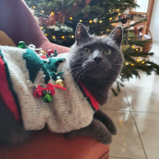 Comment trouver un vide-greniers ?